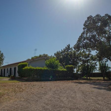 Agriturismo I Gelsi Marina Di Grosseto Kültér fotó