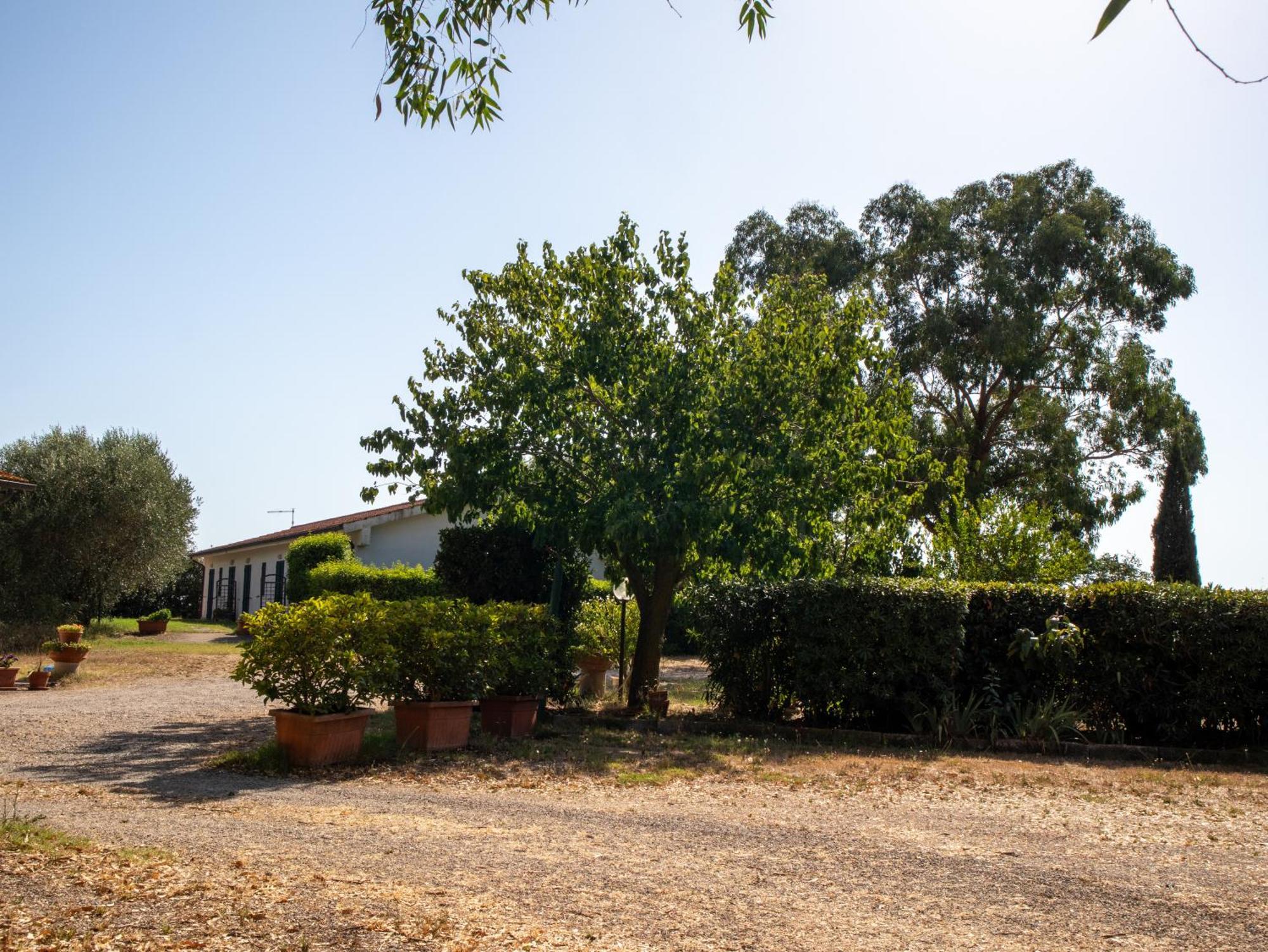 Agriturismo I Gelsi Marina Di Grosseto Kültér fotó